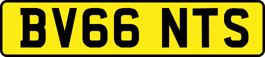 BV66NTS