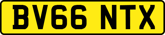 BV66NTX