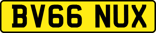 BV66NUX