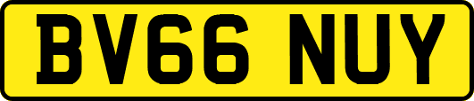 BV66NUY