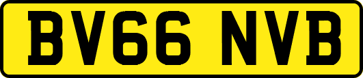 BV66NVB