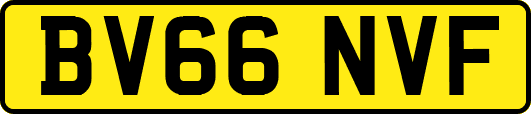 BV66NVF