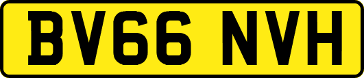 BV66NVH