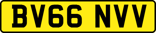 BV66NVV