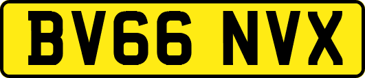 BV66NVX