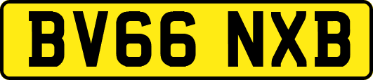 BV66NXB