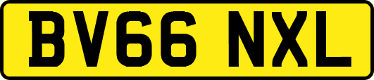 BV66NXL