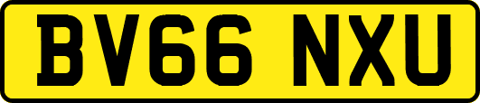 BV66NXU