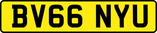 BV66NYU