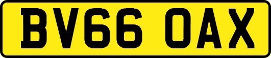 BV66OAX