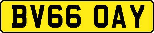 BV66OAY