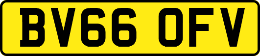 BV66OFV