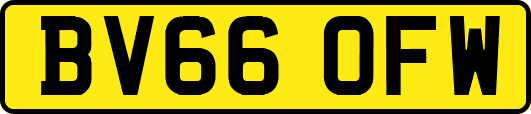 BV66OFW