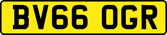 BV66OGR