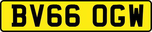 BV66OGW