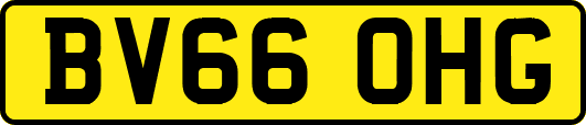 BV66OHG