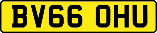 BV66OHU