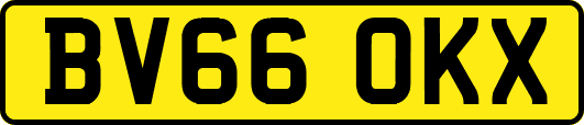 BV66OKX