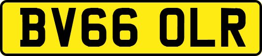 BV66OLR