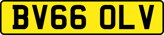 BV66OLV