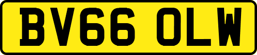 BV66OLW