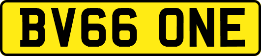 BV66ONE