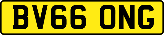 BV66ONG