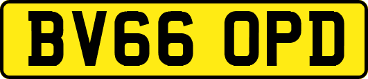 BV66OPD