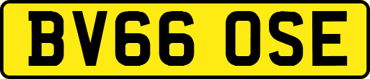 BV66OSE