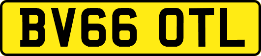 BV66OTL