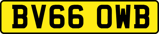 BV66OWB