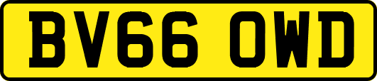 BV66OWD