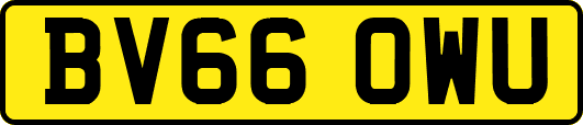 BV66OWU