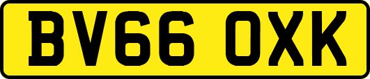 BV66OXK