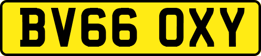 BV66OXY