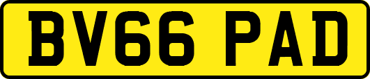 BV66PAD