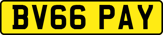 BV66PAY