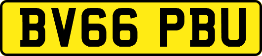 BV66PBU