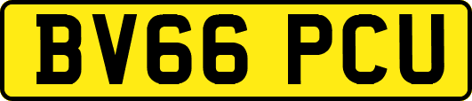 BV66PCU