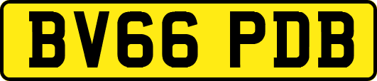 BV66PDB