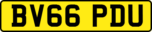 BV66PDU