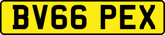 BV66PEX