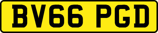 BV66PGD