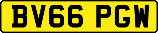 BV66PGW