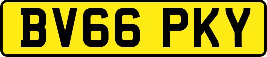 BV66PKY