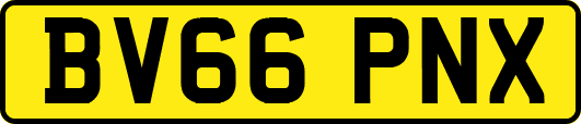 BV66PNX