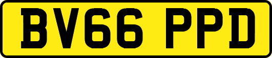 BV66PPD