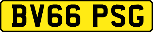 BV66PSG