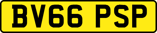 BV66PSP