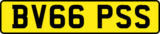 BV66PSS